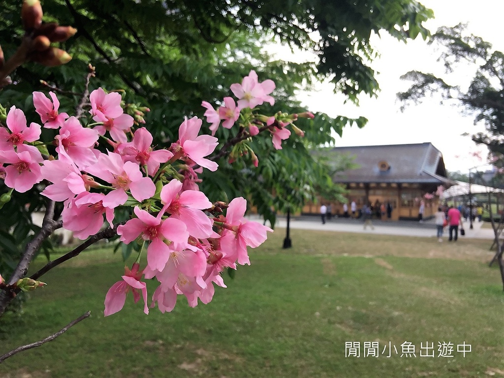 IMG_9366.jpg IMG_9366.jpg