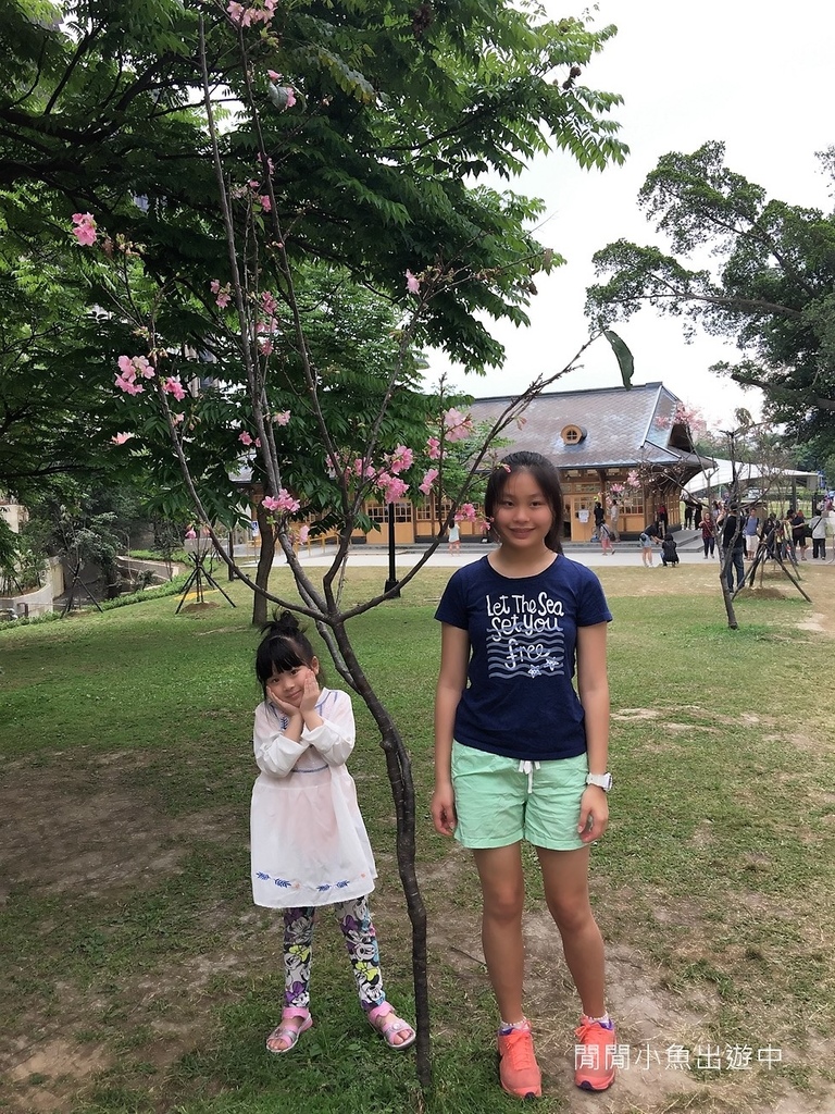 IMG_9393.jpg IMG_9393.jpg