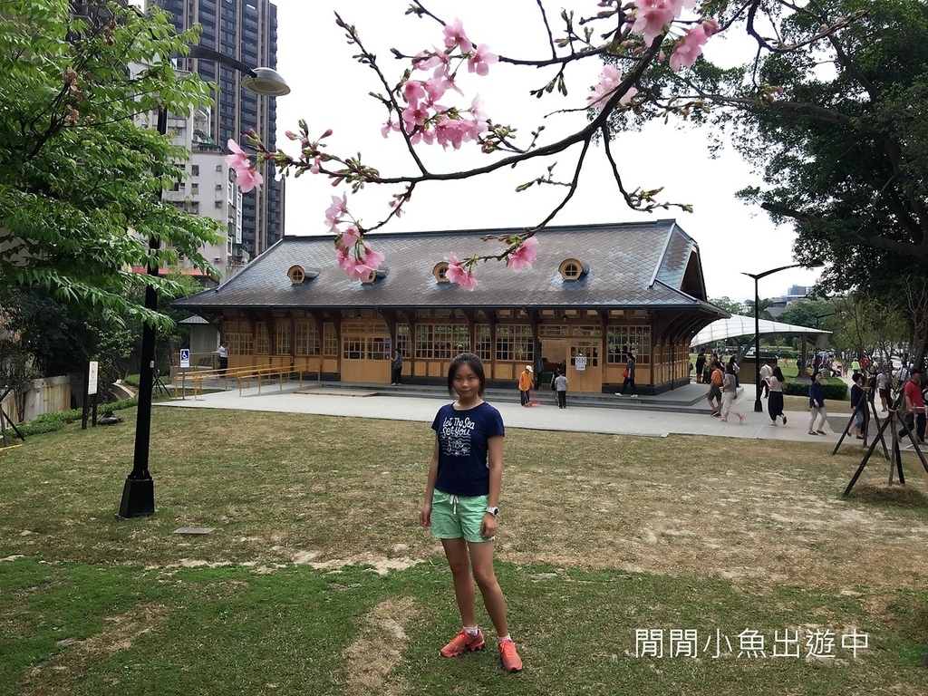 IMG_9380.jpg IMG_9380.jpg