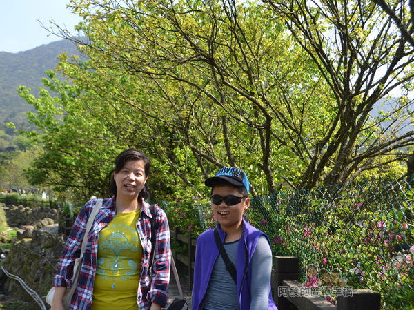 竹子湖海芋季08-下湖海芋步道上留影