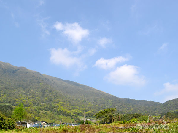 竹子湖海芋季09-讓人心曠神怡的景色