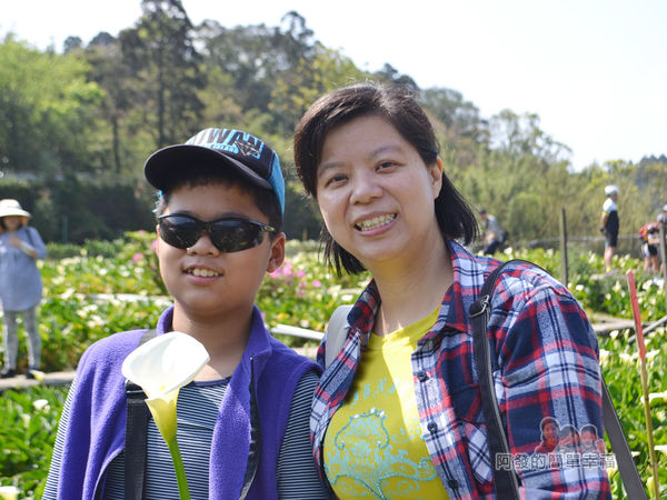 竹子湖海芋季22-母子留影