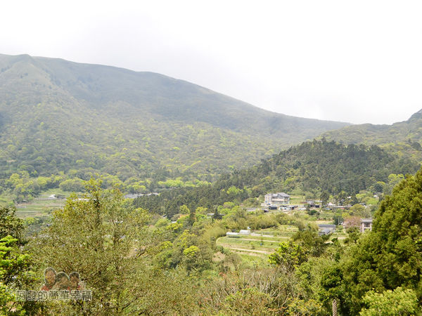 小溪頭柳杉林(黑森林)01-頂湖下的景色