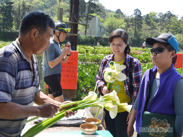 竹子湖海芋季27-包裝
