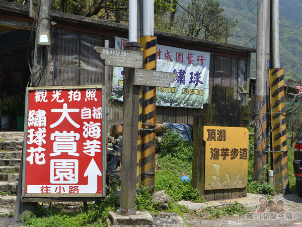 小溪頭柳杉林(黑森林)02-頂湖海芋步道入口