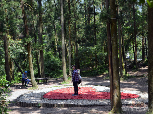 小溪頭柳杉林(黑森林)11-中央有座石堆愛心造景