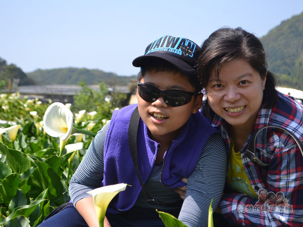 竹子湖海芋季19-田中留影