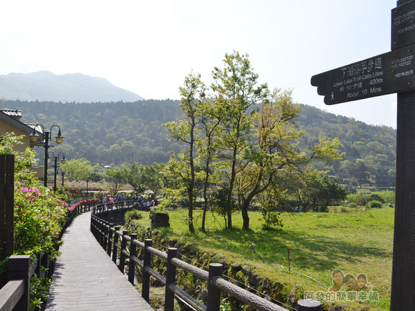 竹子湖海芋季04-竹子湖環狀步道之下湖海芋步道入口-苗榜花園餐廳旁