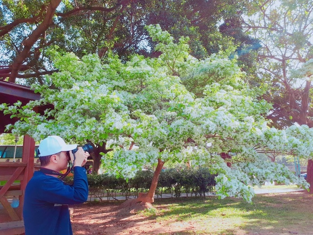 2018-03-29-08-07-17.jpg - 2018林口大湖公園紫藤花季