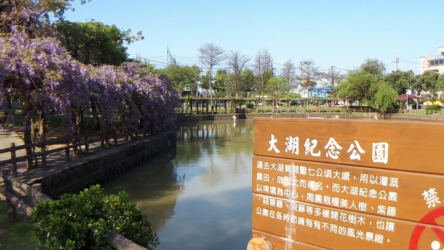 20180329_082622.jpg - 2018林口大湖公園紫藤花季