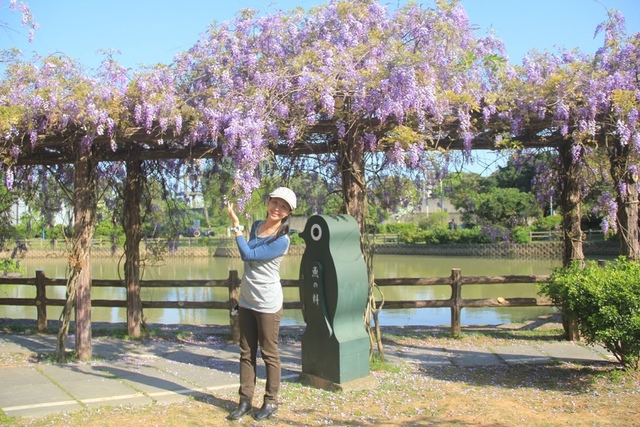 LRG_IMG_5776.JPG - 2018林口大湖公園紫藤花季