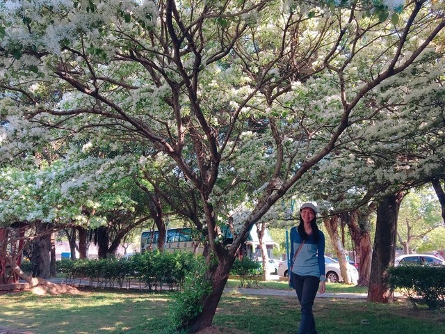 IMG_8122.JPG - 2018林口大湖公園紫藤花季