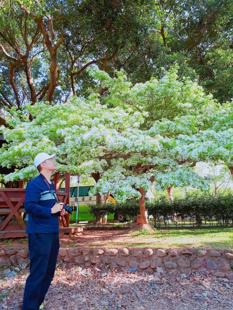 2018-03-29-08-07-40.jpg - 2018林口大湖公園紫藤花季