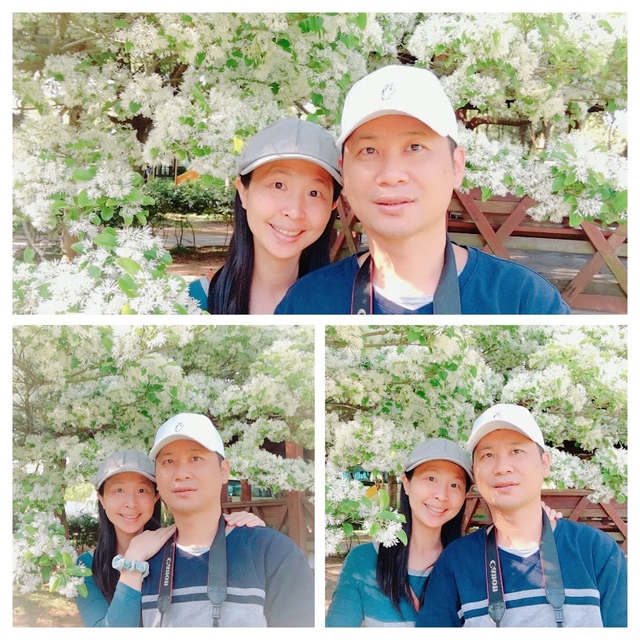 IMG_8088-COLLAGE.jpg - 2018林口大湖公園紫藤花季