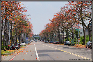 桃園龜山。大湖紀念公園~紫藤花開,邂逅這一季的紫色浪漫