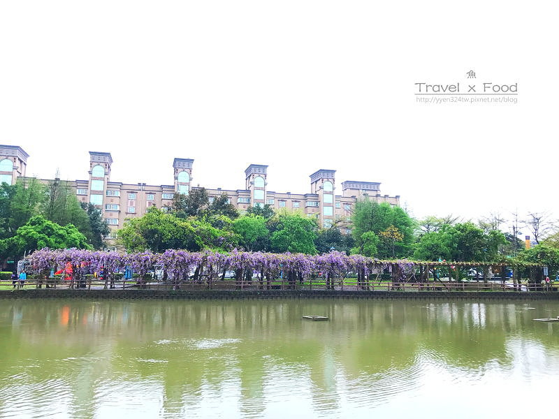 大湖公園紫藤花170411016 大湖公園紫藤花170411016