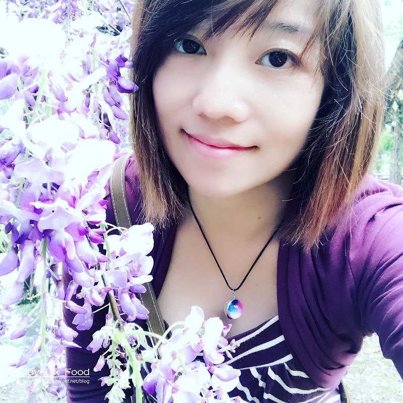 大湖公園紫藤花170411022 大湖公園紫藤花170411022