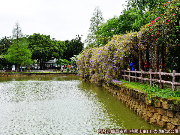 大湖紀念公園04-湖畔旁的紫藤花棚廊道.JPG
