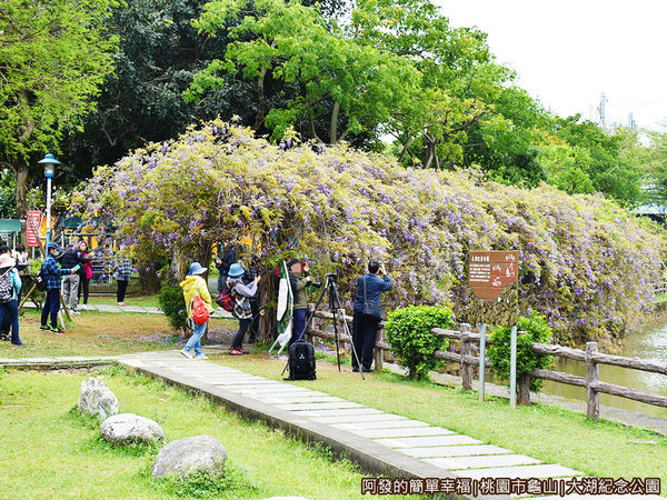 大湖紀念公園12-紫藤花棚廊道外觀.JPG