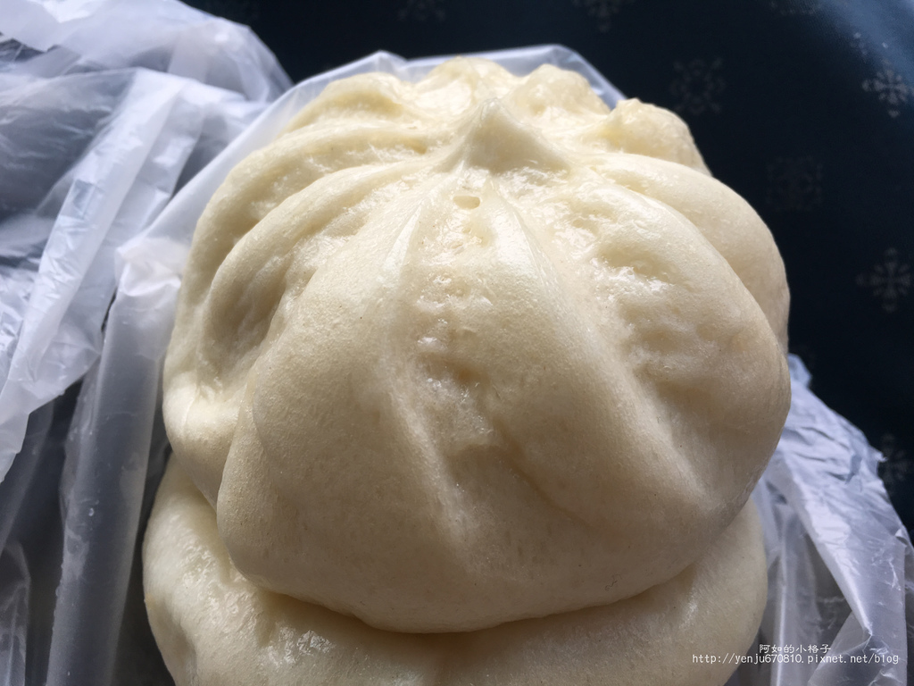 金獅湖肉包 (4).JPG