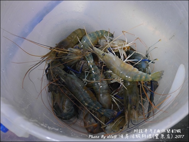 西海岸活蝦-40.jpg
