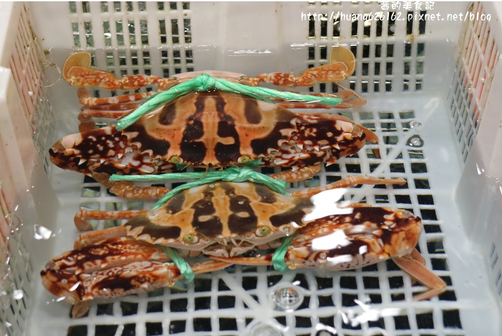 IMG_0365.JPG IMG_0365.JPG