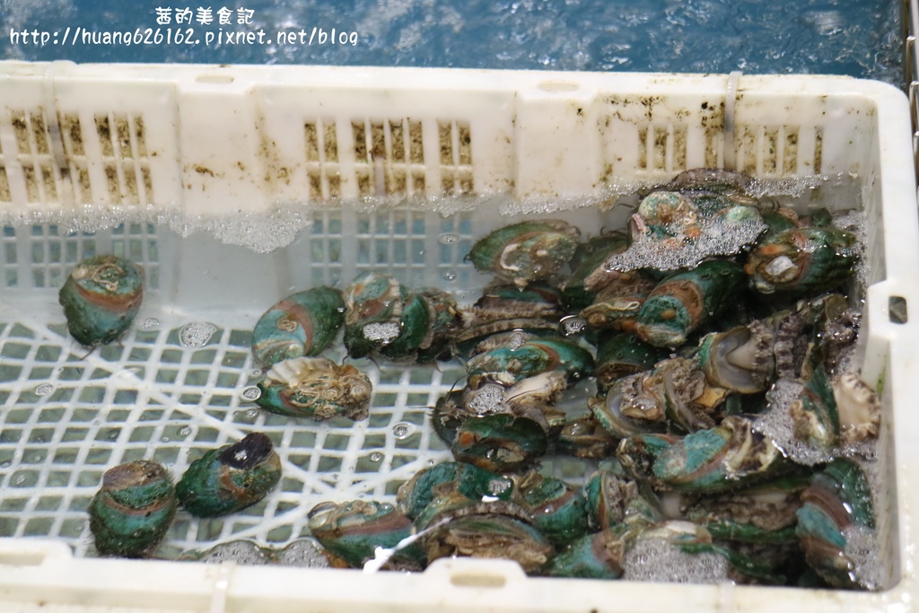 IMG_0366.JPG IMG_0366.JPG