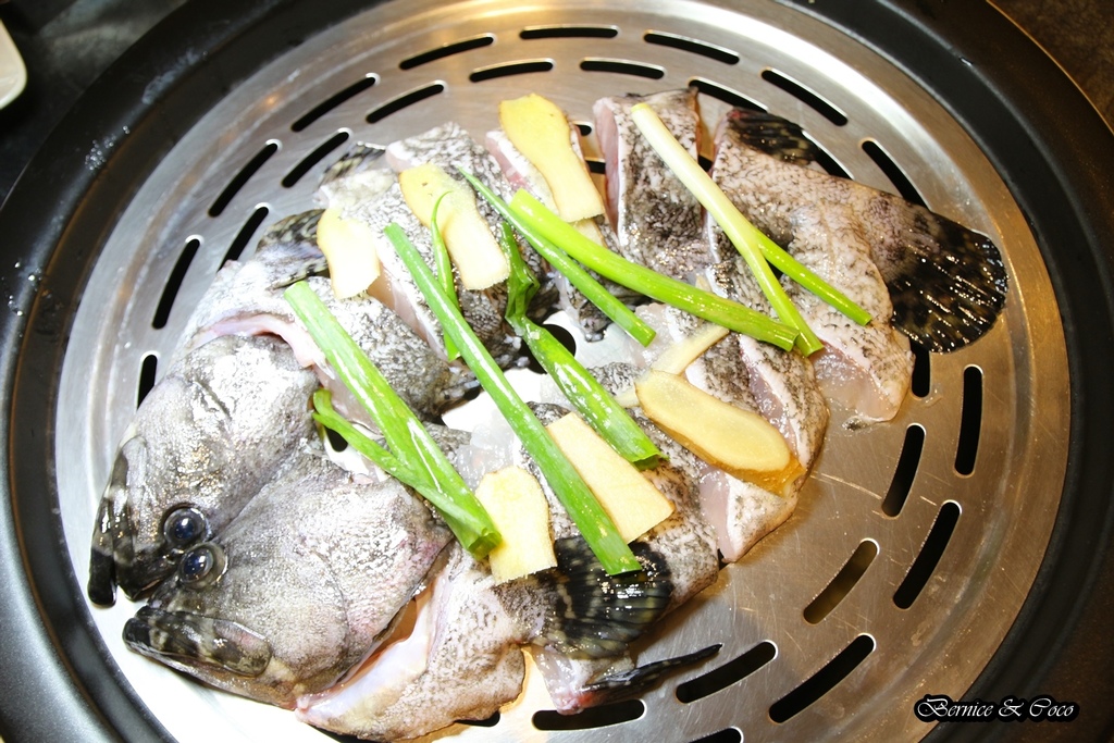 IMG_0095.JPG IMG_0095.JPG