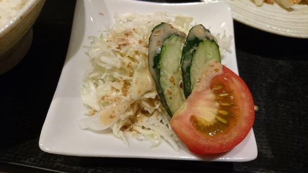 餃子の王將-台灣一號店:高雄漢神巨蛋~餃子の 王將~台灣1號日本直營店~引以為豪的日式煎餃~攻佔你我的味蕾~