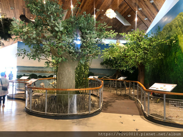 圓圓家出去玩-《台南景點》台江國家公園遊客中心純白建築好好拍，獨特高腳水上屋，台南IG打卡熱點