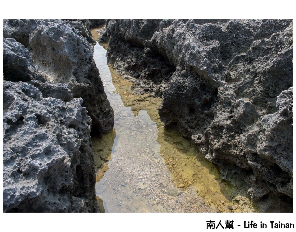 鳳鼻頭漁港到小琉球一日遊