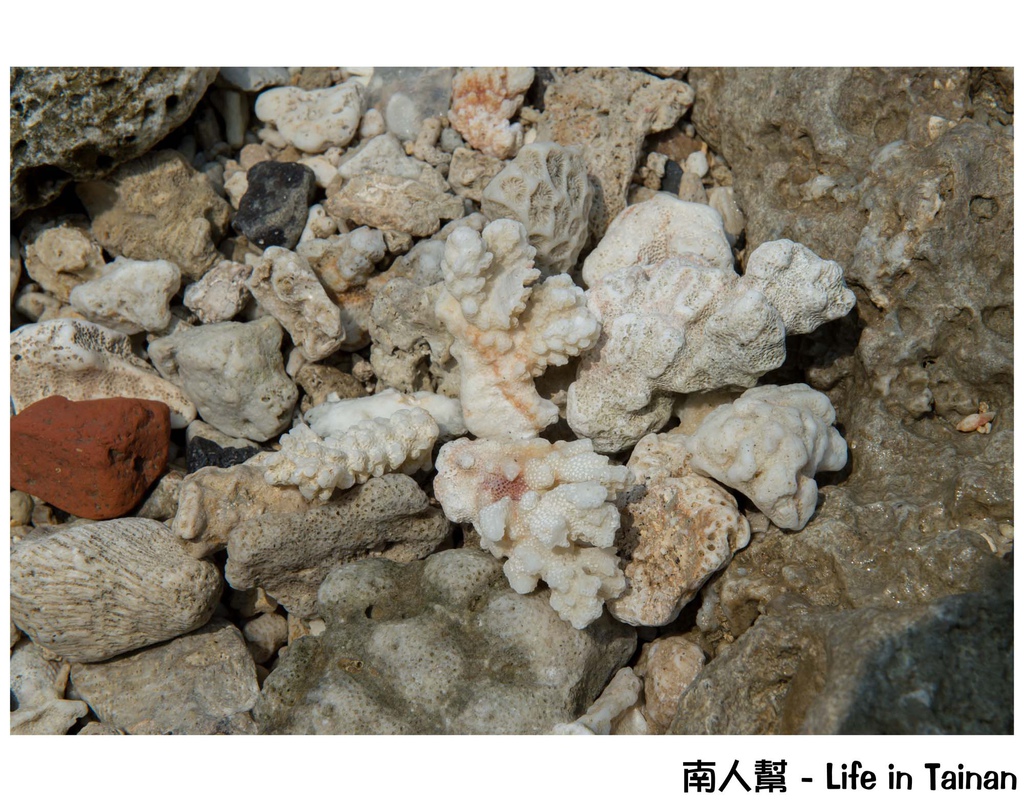 鳳鼻頭漁港到小琉球一日遊