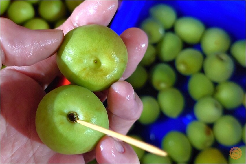 桃園市桃園區全聯好物推薦：百家珍 58藜麥高粱醋-DIY梅子醋