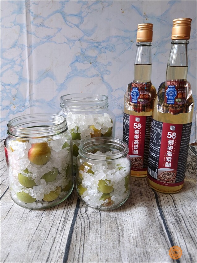 桃園市桃園區全聯好物推薦：百家珍 58藜麥高粱醋-DIY梅子醋