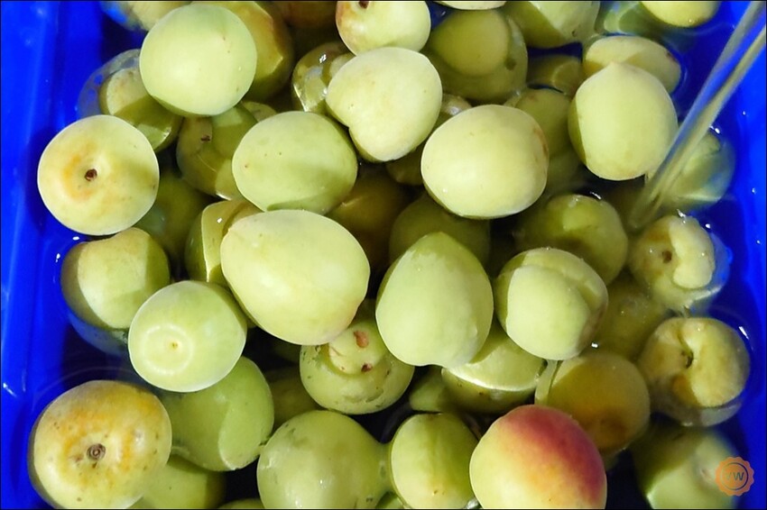 桃園市桃園區全聯好物推薦：百家珍 58藜麥高粱醋-DIY梅子醋