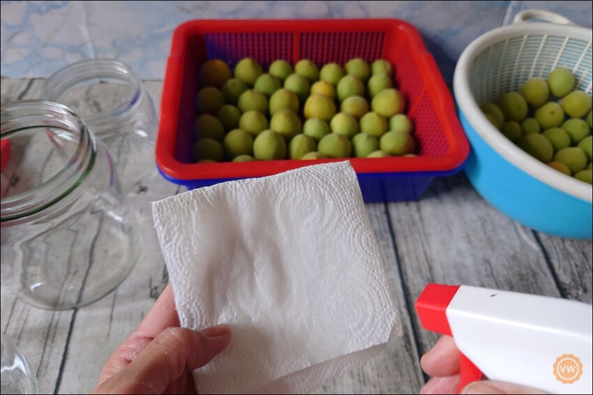 桃園市桃園區全聯好物推薦：百家珍 58藜麥高粱醋-DIY梅子醋