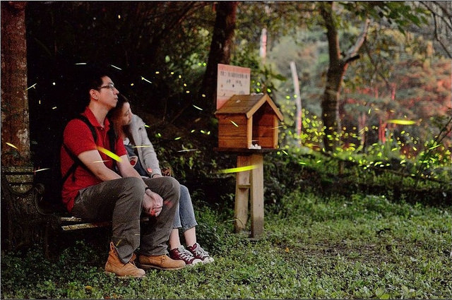 1447289960-3684152221 1447289960-3684152221