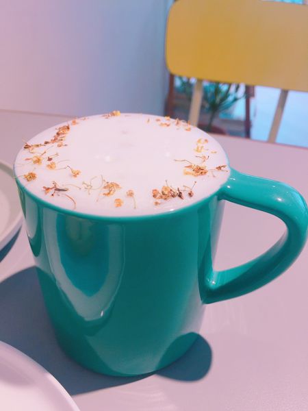 捷運江子翠站✿ 藍色微光 One Earth Café✿ 優雅恬淡的轉角咖啡廳~超驚豔山丘上的暖陽與檸夏 !