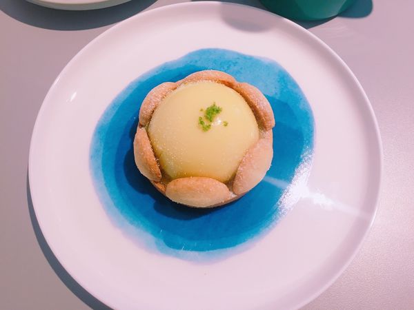 捷運江子翠站✿ 藍色微光 One Earth Café✿ 優雅恬淡的轉角咖啡廳~超驚豔山丘上的暖陽與檸夏 !