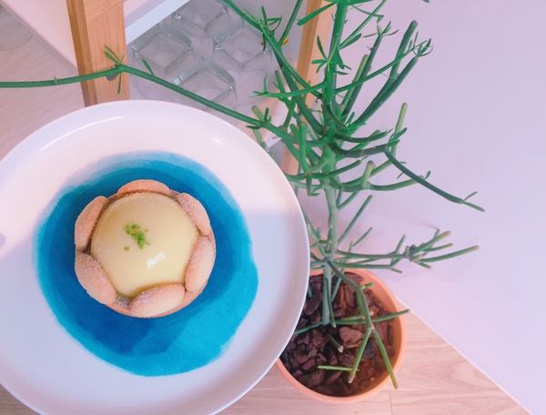 捷運江子翠站✿ 藍色微光 One Earth Café✿ 優雅恬淡的轉角咖啡廳~超驚豔山丘上的暖陽與檸夏 !