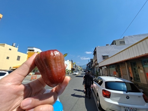 枋寮車站 (28).jpg - 枋寮車站 韭菜盒子 枋寮車站 (28).jpg - 枋寮車站 韭菜盒子