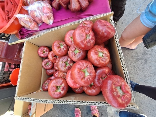 枋寮車站 (27).jpg - 枋寮車站 韭菜盒子 枋寮車站 (27).jpg - 枋寮車站 韭菜盒子