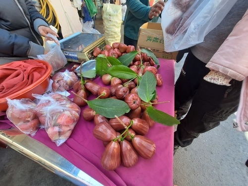 枋寮車站 (26).jpg - 枋寮車站 韭菜盒子 枋寮車站 (26).jpg - 枋寮車站 韭菜盒子