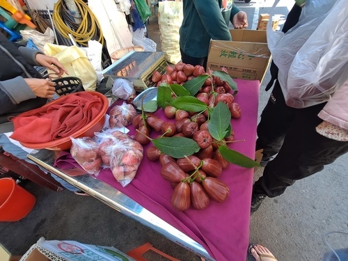 枋寮車站 (25).jpg - 枋寮車站 韭菜盒子 枋寮車站 (25).jpg - 枋寮車站 韭菜盒子