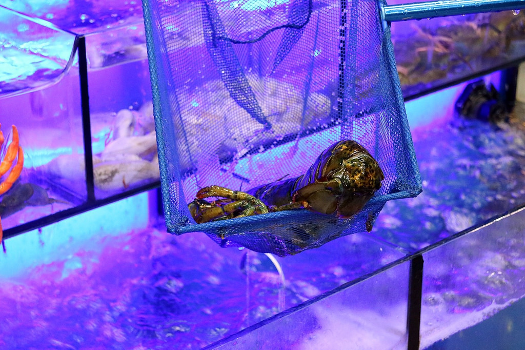 20170917 #1_170918_0103