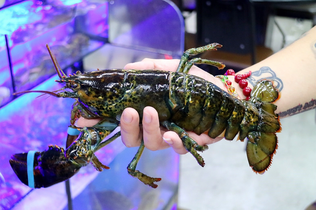 20170917 #1_170918_0102