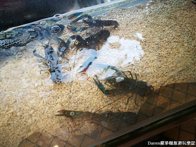 『桃園中壢韓式料理餐廳』釜山拉麵人氣店(中壢店)★每日限量超人氣龍蝦拉麵霸氣登場/肋排拉麵烤雞拉麵部隊鍋起司年糕鍋霸氣出擊