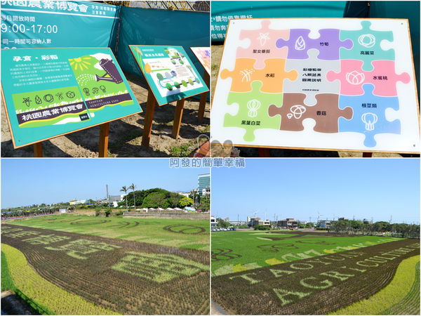 農業博覽會52-孕育彩稻-組圖.jpg
