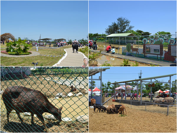 農業博覽會36-微笑牧場-牧場組圖.jpg
