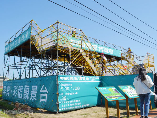 農業博覽會51-孕育彩稻-觀景台.jpg